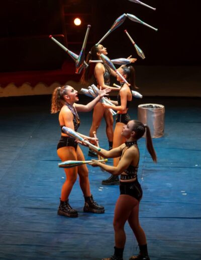 cirque de noel caen