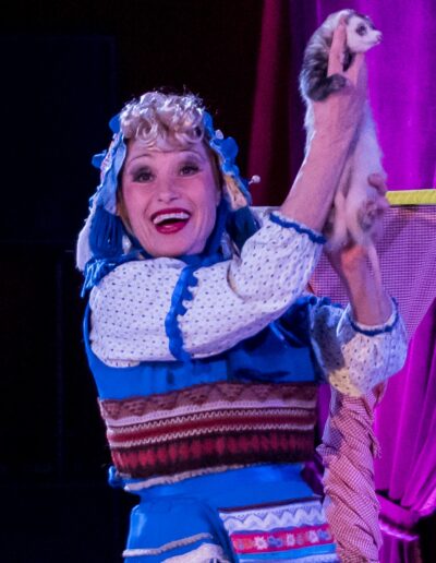cirque noel saint lo