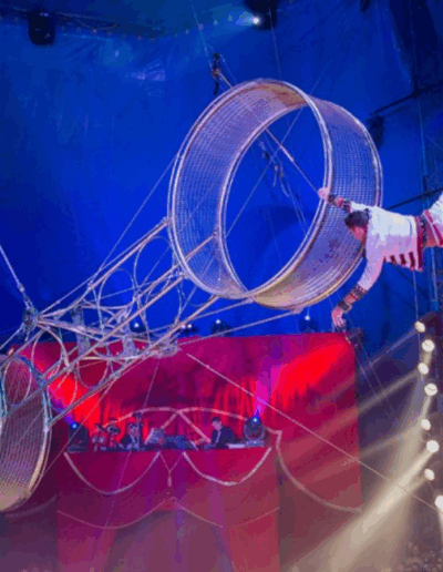 cirque de noel caen